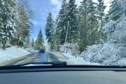 sortie du mercredi