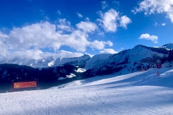 World Snow Day